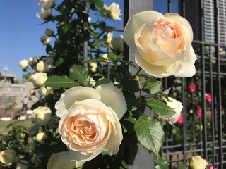 2B324E5B-070B-4E22-B947-C4628B4D8E48.jpeg