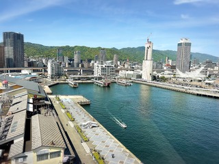 388A541A-C090-48E0-86F3-44028F6F0F9F.jpeg