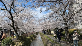 IMG_9259.jpeg
