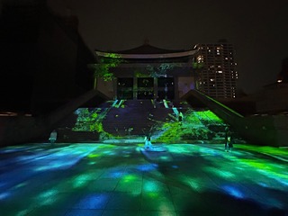 IMG_9739.jpeg