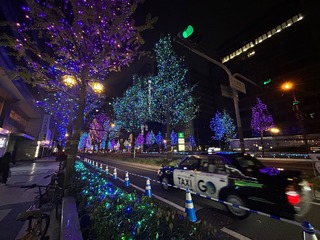 IMG_9761.jpeg